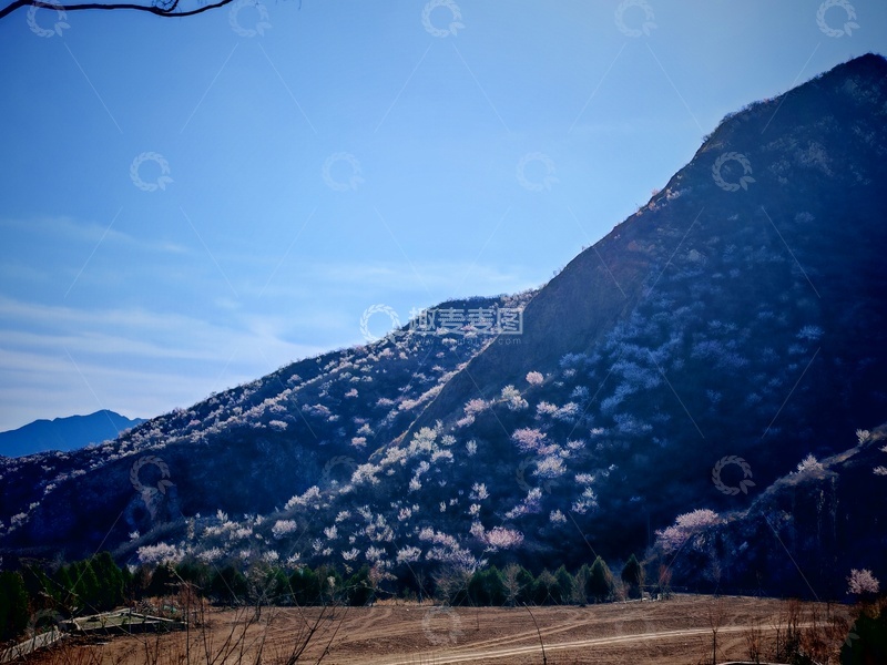 高清大图下载【趣麦麦图】山川桃花风景摄影图片