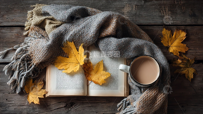 高清大图下载【趣麦麦图】落叶中的书香与咖啡