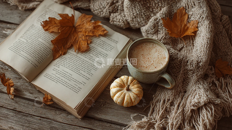 高清大图下载【趣麦麦图】金色叶舞中的温馨角落