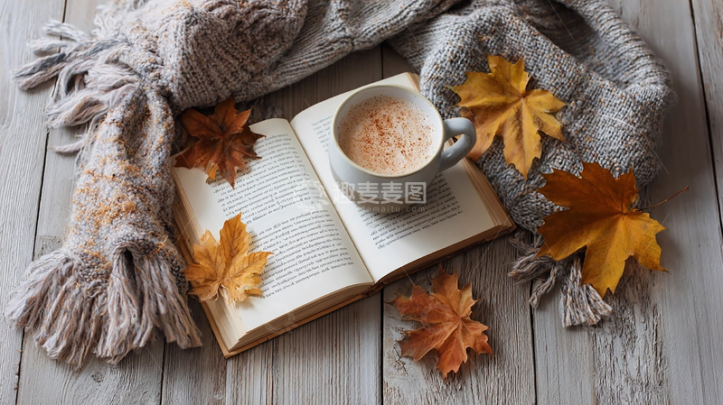 高清大图下载【趣麦麦图】枫叶伴书香的静谧