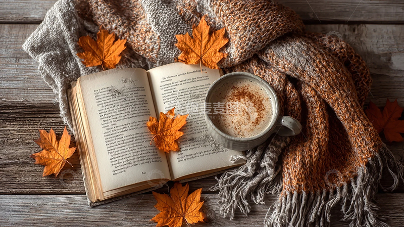 高清大图下载【趣麦麦图】秋日书香与暖意交融