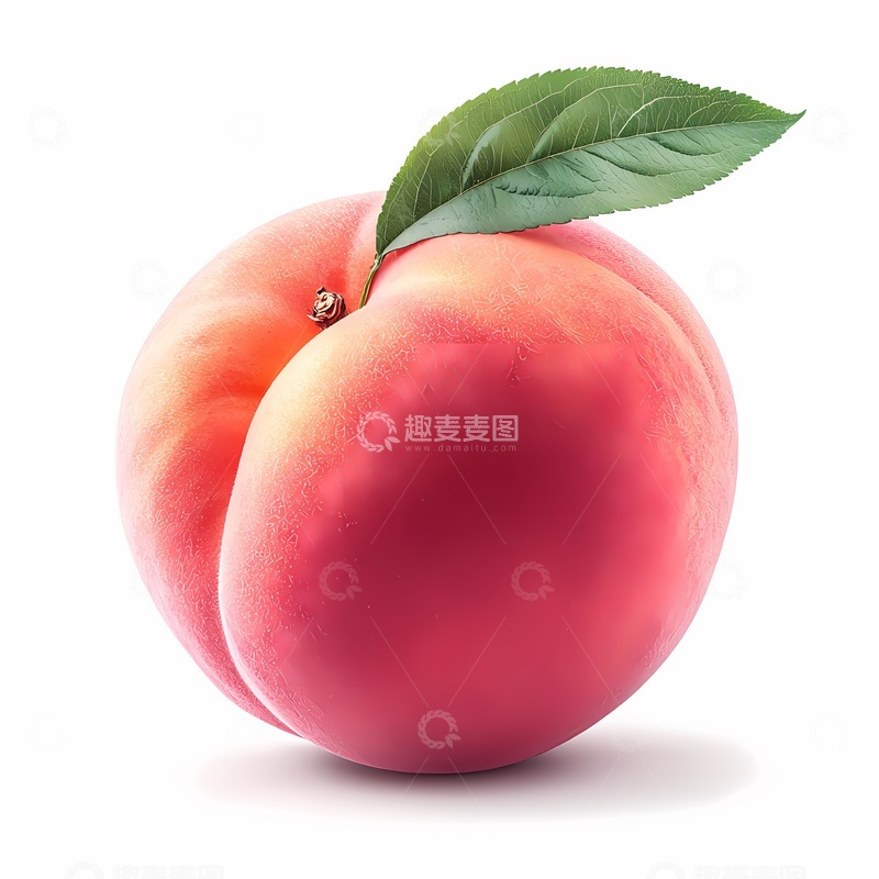 高清大图下载【趣麦麦图】新鲜桃子水果插画素材