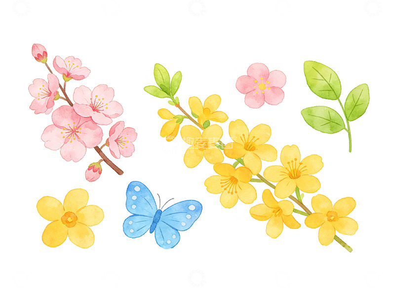 高清大图下载【趣麦麦图】水彩花卉蝴蝶插画