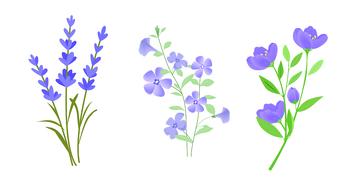 植物系列扁平风薰衣草插画元素