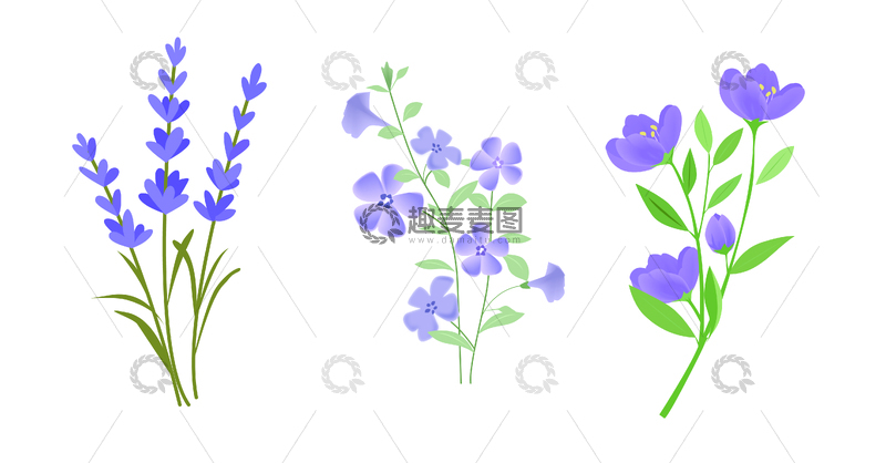 源文件下载【趣麦麦图】植物系列扁平风薰衣草插画元素