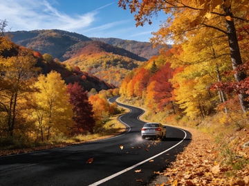 秋季山路秋景风景摄影