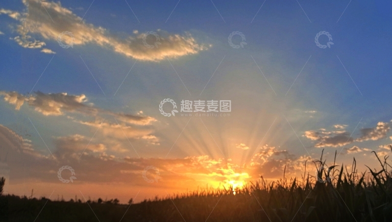 高清大图下载【趣麦麦图】夕阳田野光影美景