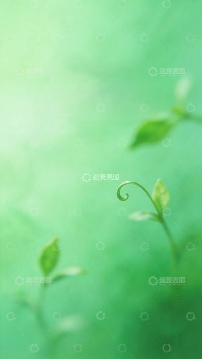 高清大图下载【趣麦麦图】清新绿植微距摄影