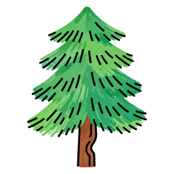 手绘松树矢量插画