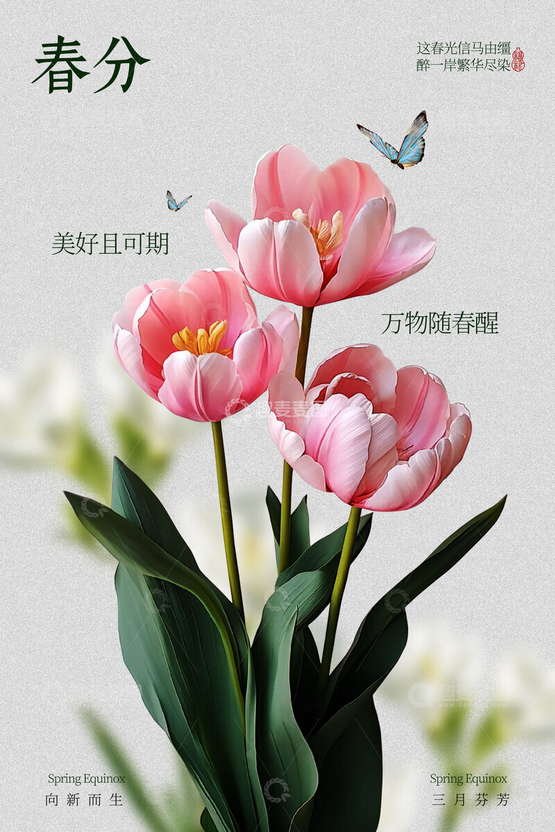 源文件下载【趣麦麦图】春分时节节气海报