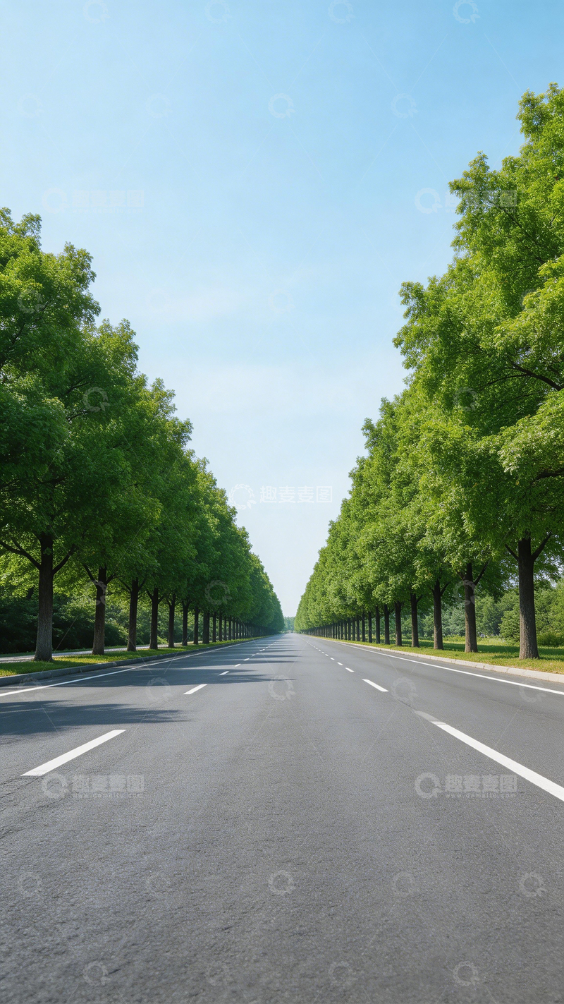 高清大图下载【趣麦麦图】林荫大道风景图&middot;