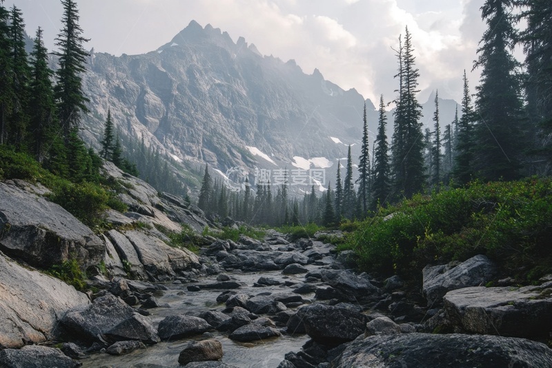 高清大图下载【趣麦麦图】石头河床高大松树自然美景
