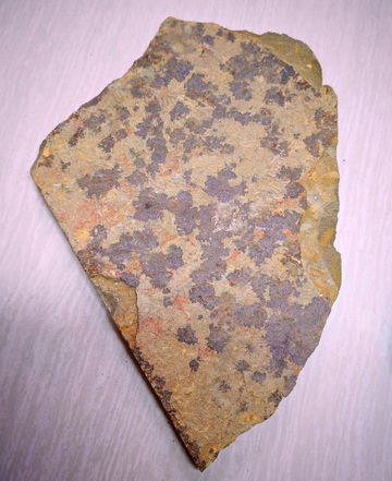 古化石碎片岩石样本