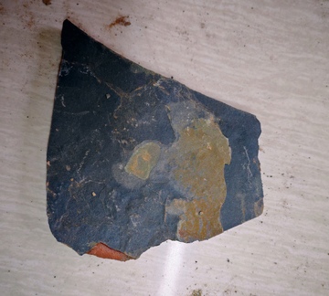 古陶瓷碎片考古研究素材