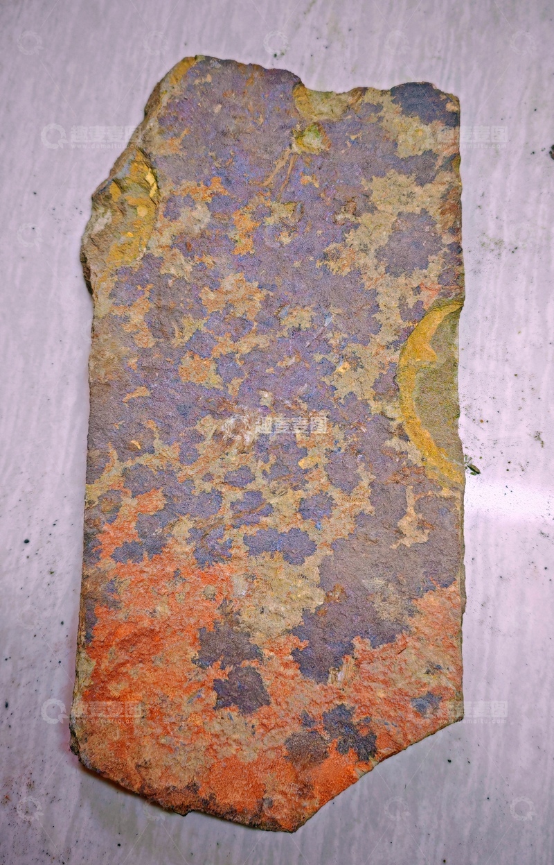 高清大图下载【趣麦麦图】古化石纹理艺术摄影