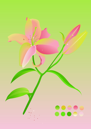 植物系列扁平风百合插画元素