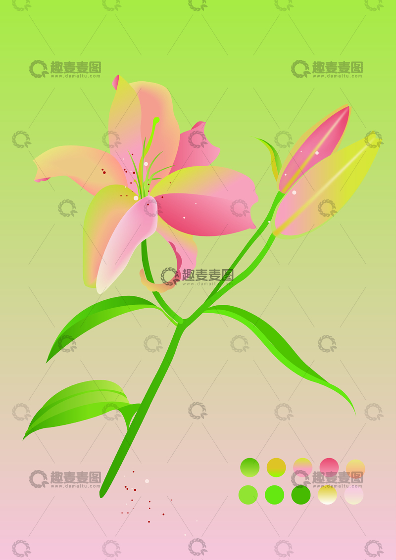 源文件下载【趣麦麦图】植物系列扁平风百合插画元素