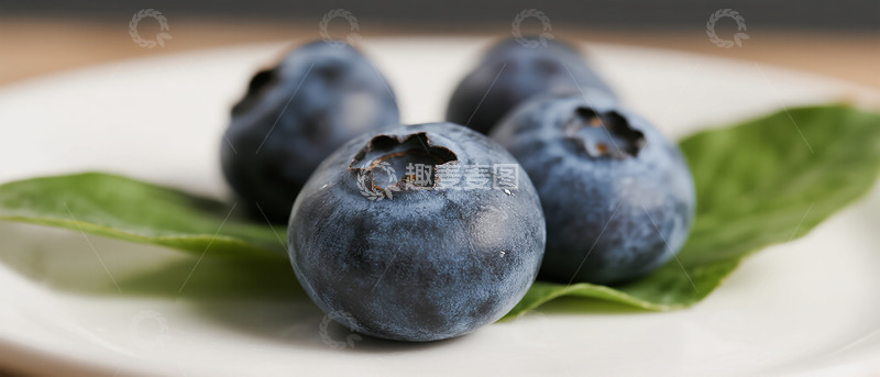 高清大图下载【趣麦麦图】清新蓝莓水果摄影