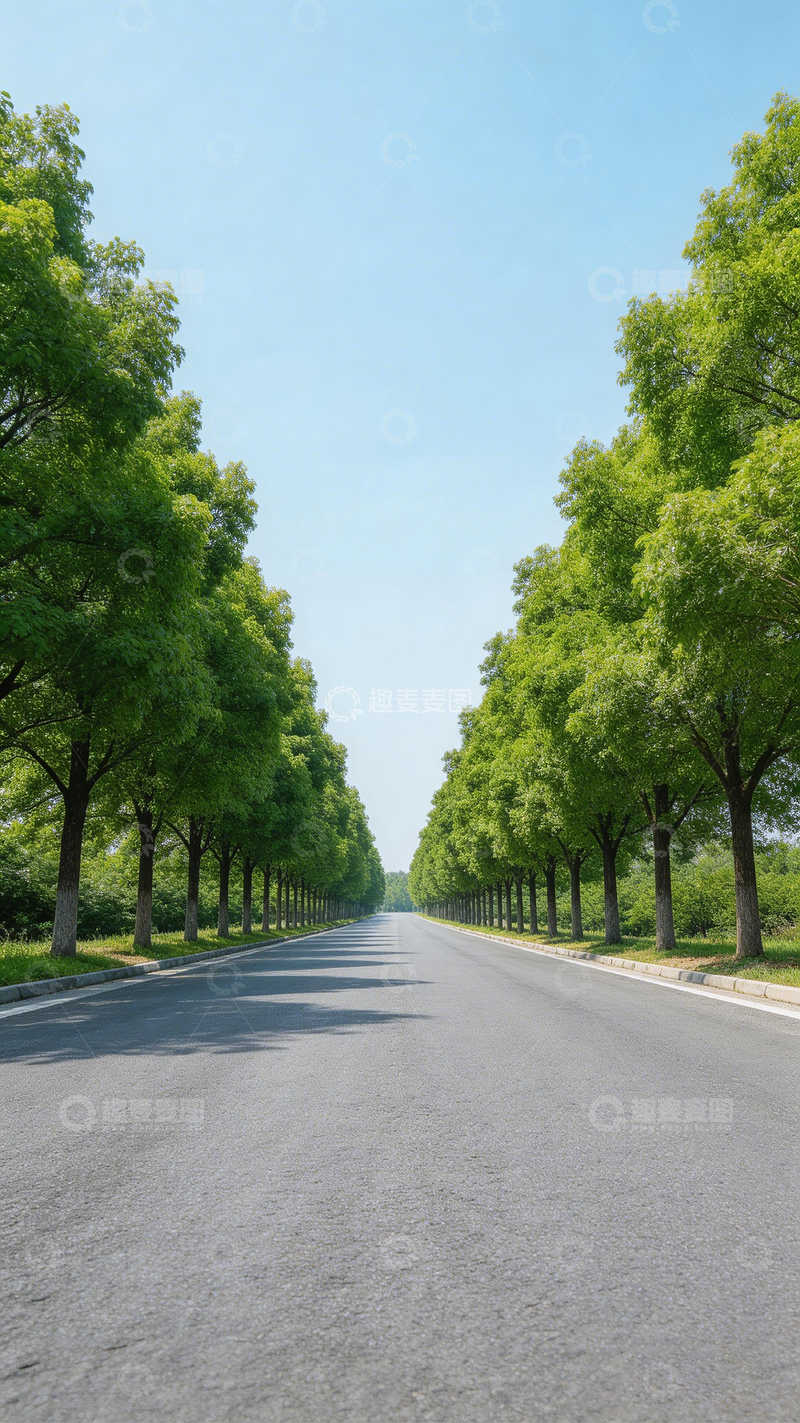 高清大图下载【趣麦麦图】林荫大道风景摄影2
