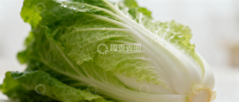高清大图下载【趣麦麦图】新鲜白菜特写摄影图