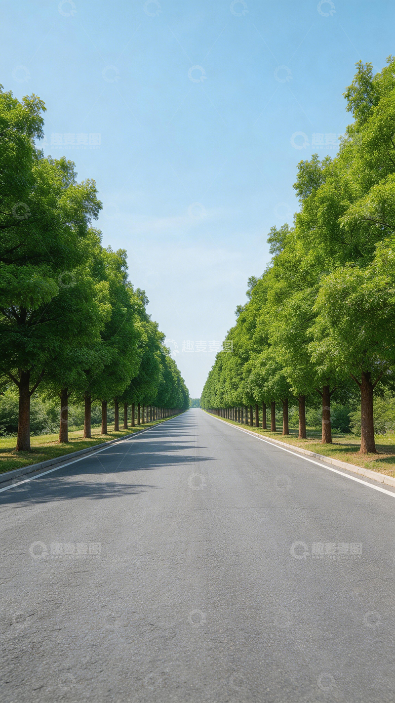 高清大图下载【趣麦麦图】林荫大道风景摄影e