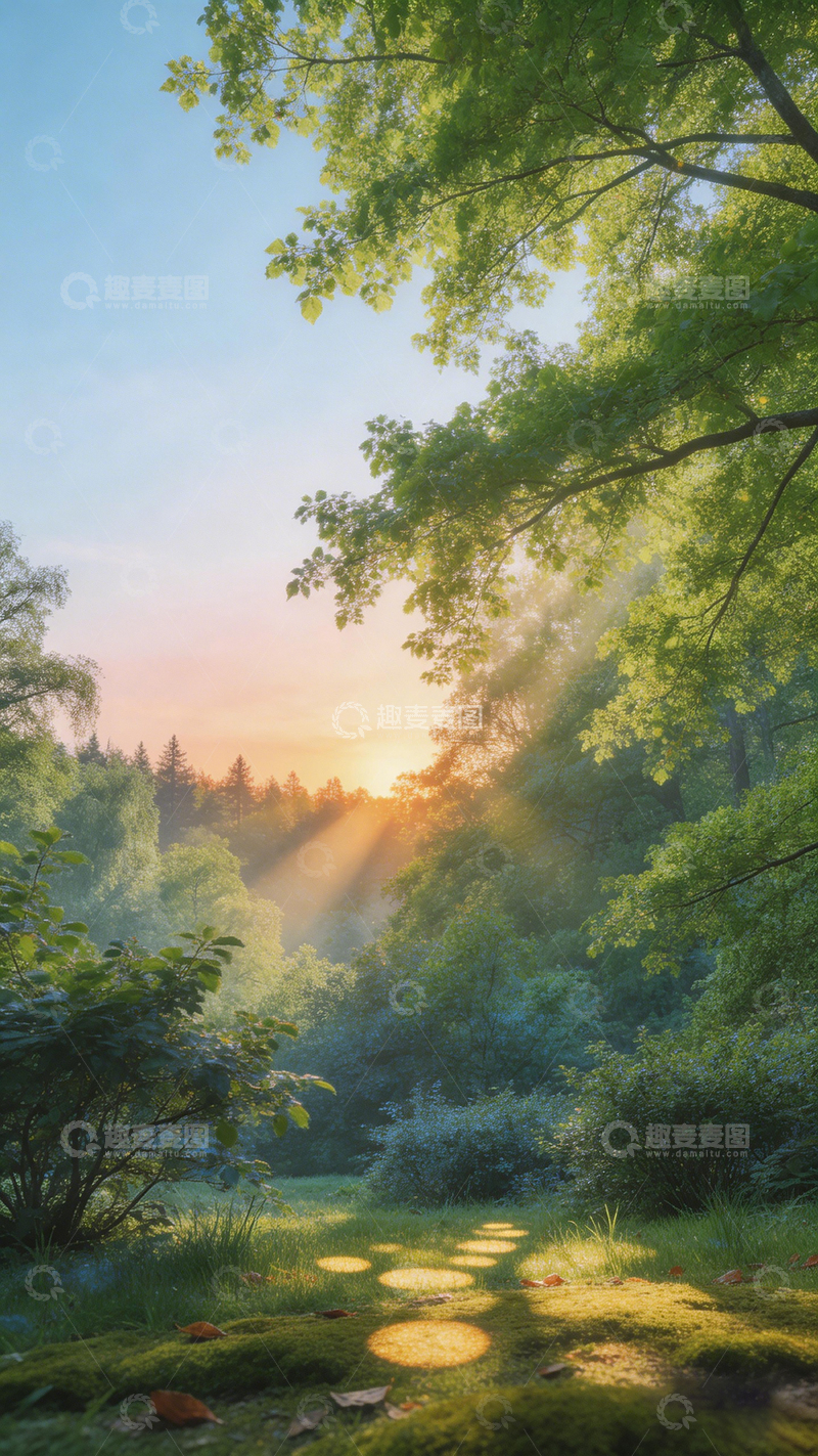 高清大图下载【趣麦麦图】晨光森林小径风景画