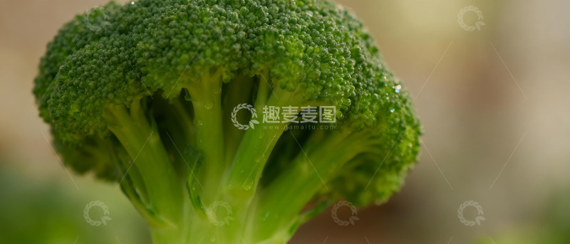 高清大图下载【趣麦麦图】新鲜西兰花特写摄影图