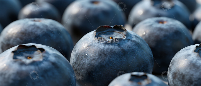 高清大图下载【趣麦麦图】新鲜蓝莓水果特写摄影