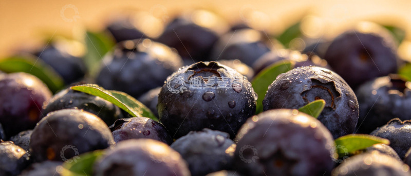 高清大图下载【趣麦麦图】新鲜蓝莓特写摄影素材