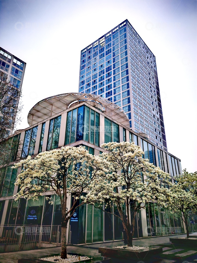 高清大图下载【趣麦麦图】现代建筑与盛开树木和谐共存