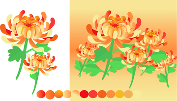 植物系列扁平风菊花插画元素