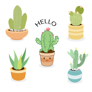 卡通多肉植物插画设计素材