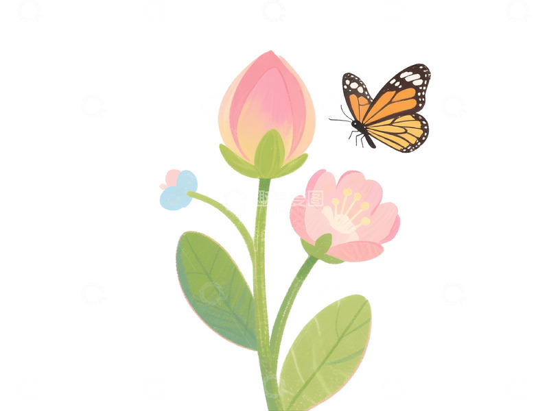 高清大图下载【趣麦麦图】插画风格花朵蝴蝶设计元素