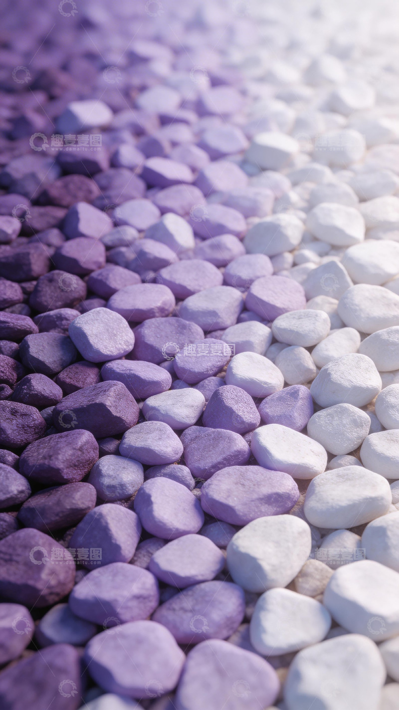高清大图下载【趣麦麦图】紫白卵石艺术铺装