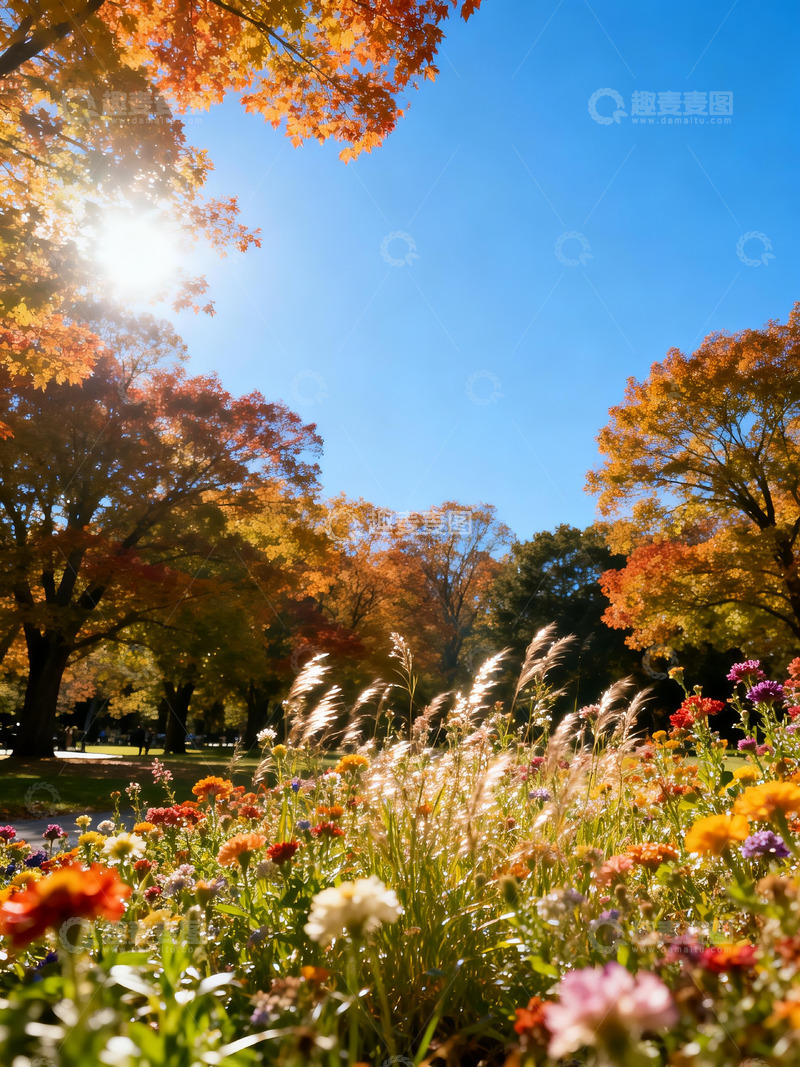 高清大图下载【趣麦麦图】五彩斑斓的花草5
