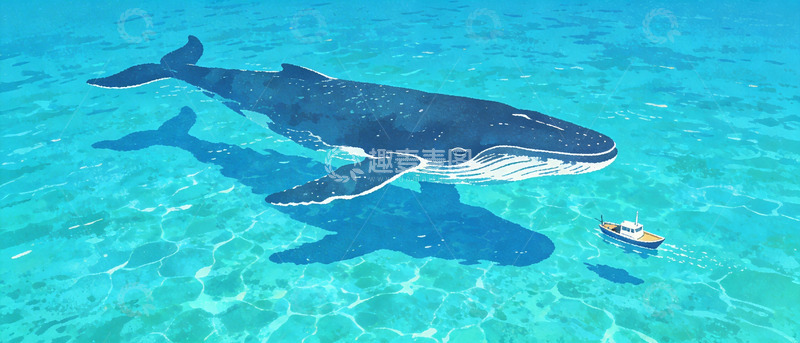 高清大图下载【趣麦麦图】海洋巨兽鲸鱼游弋画面