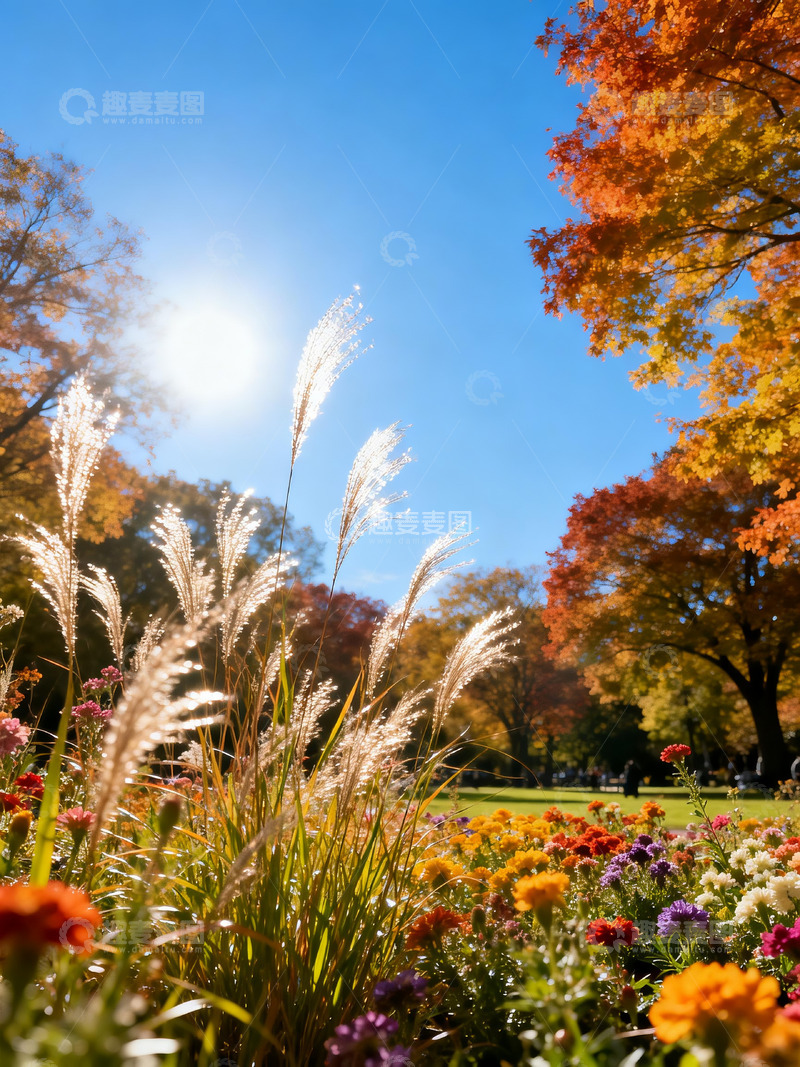高清大图下载【趣麦麦图】五彩斑斓的花草7