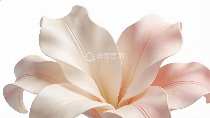 高清大图下载【趣麦麦图】淡雅花卉特写摄影图片