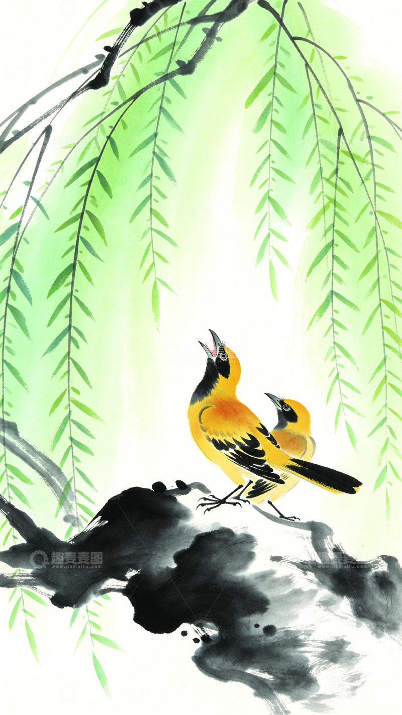 高清大图下载【趣麦麦图】两只栩栩如生的黄鹂鸟
