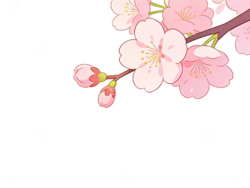 高清大图下载【趣麦麦图】粉色樱花插画素材