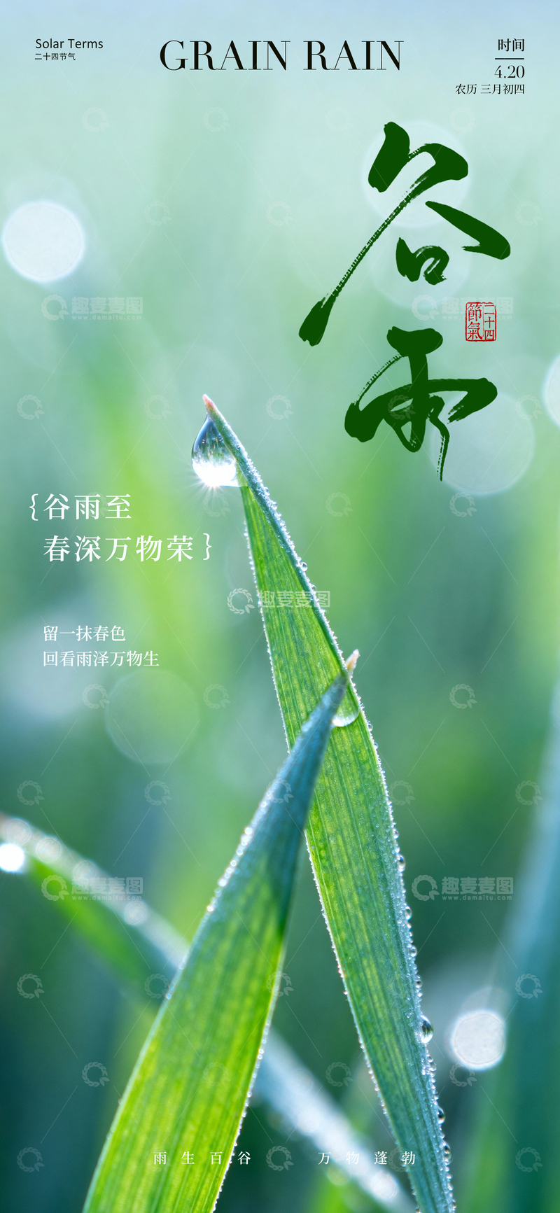 源文件下载【趣麦麦图】-谷雨春意浓植物滴露图