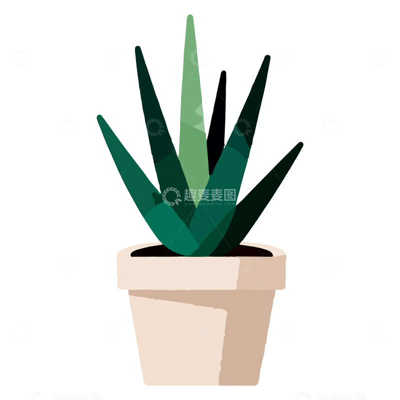 源文件下载【趣麦麦图】简约风芦荟盆栽矢量插画