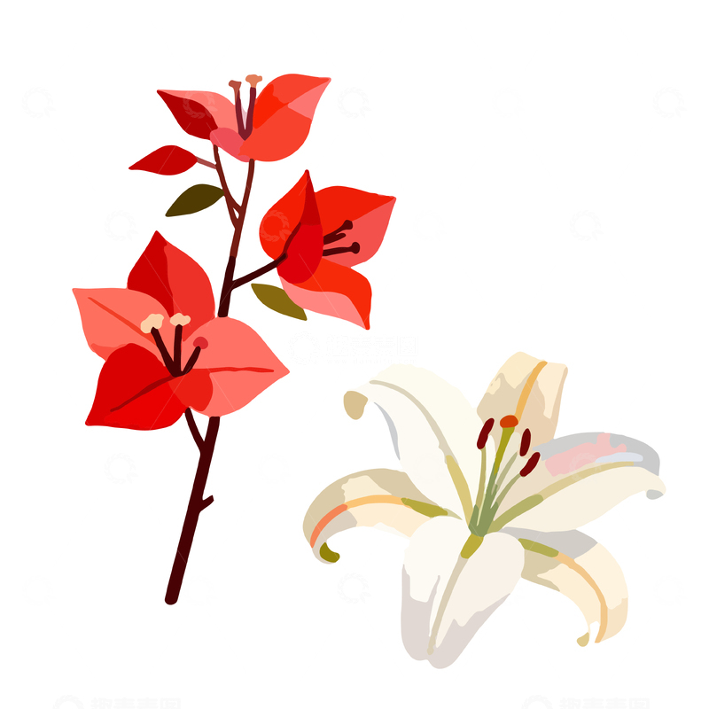 源文件下载【趣麦麦图】简约花卉插画设计元素