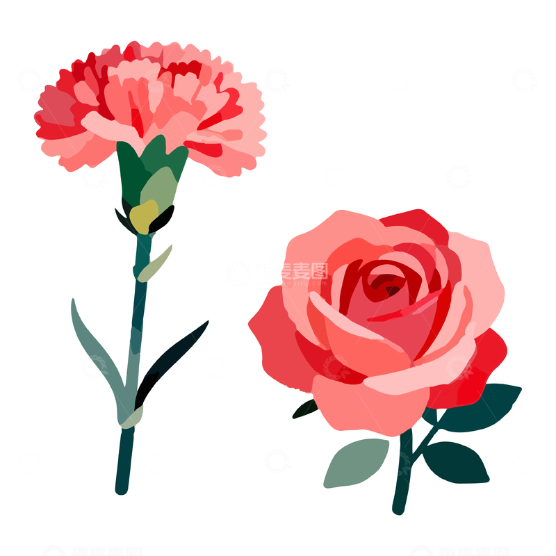 源文件下载【趣麦麦图】简约花卉插画康乃馨玫瑰矢量图