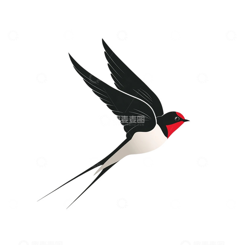 高清大图下载【趣麦麦图】翩然腾空的黑白红色燕子