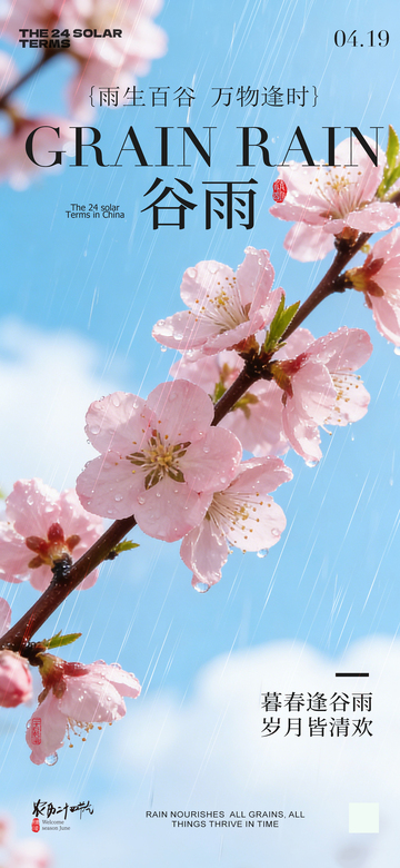 谷雨樱花雨景海报