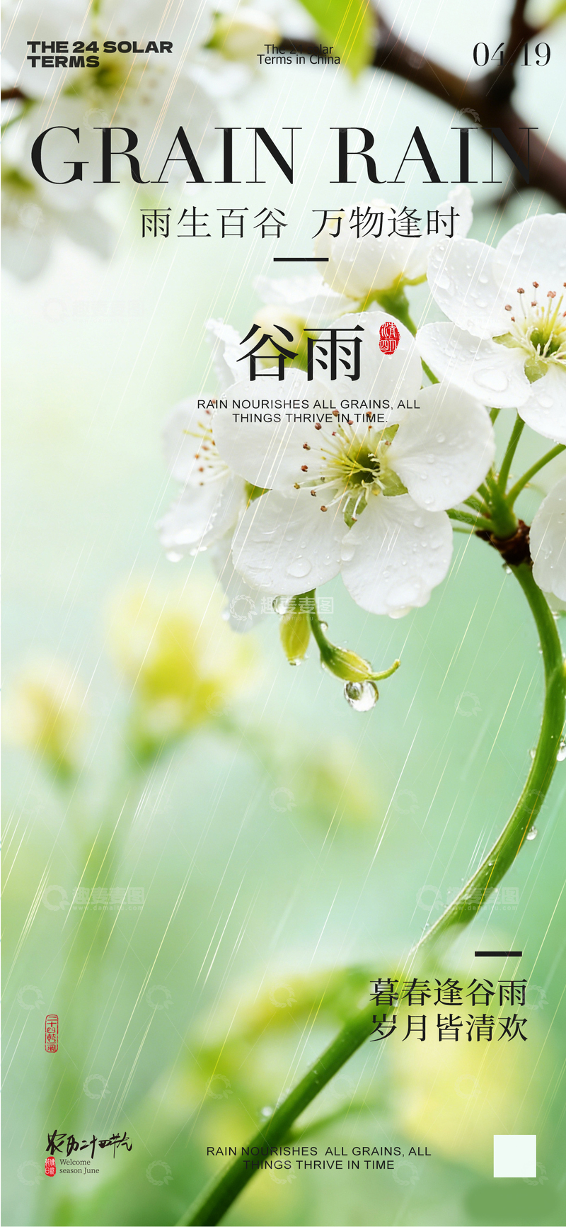 源文件下载【趣麦麦图】谷雨花开春光美