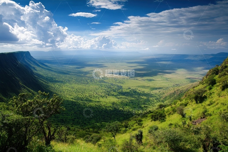 高清大图下载【趣麦麦图】大峡谷树林自然美景