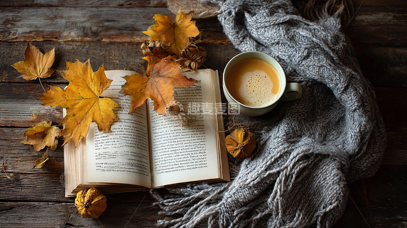 高清大图下载【趣麦麦图】落叶伴读的温暖岁月