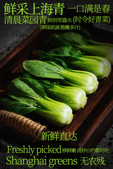 新鲜上海青食材海报